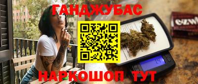 прущие грибы Можга
