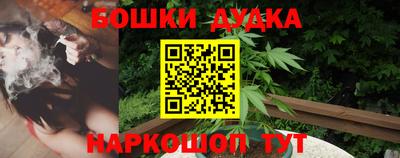 PSILOCYBIN Моздок