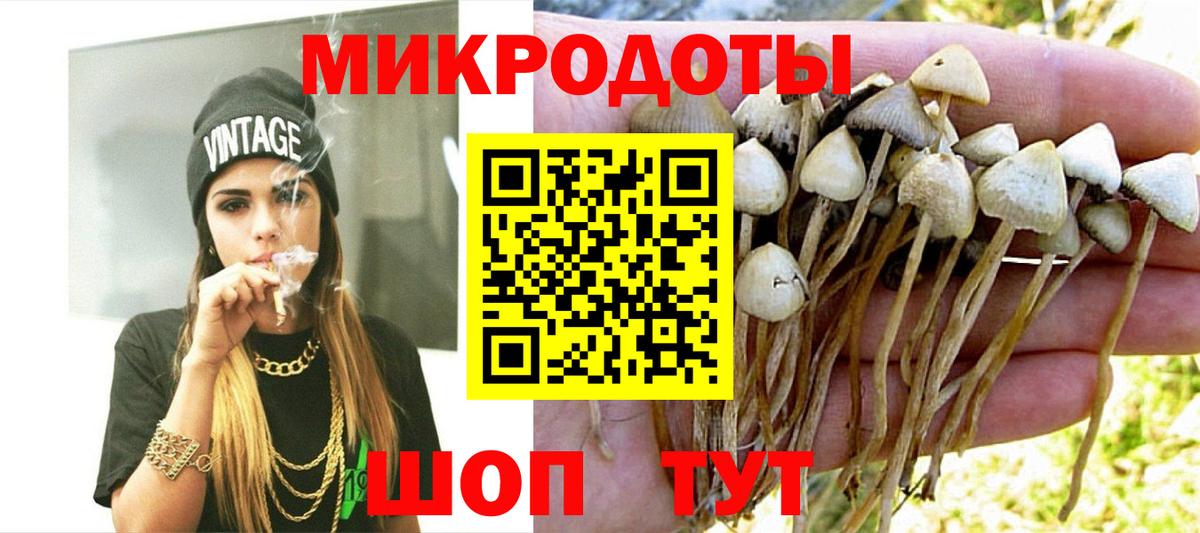 Галлюциногенные грибы MAGIC MUSHROOMS  Вход с VPN  Татарск 