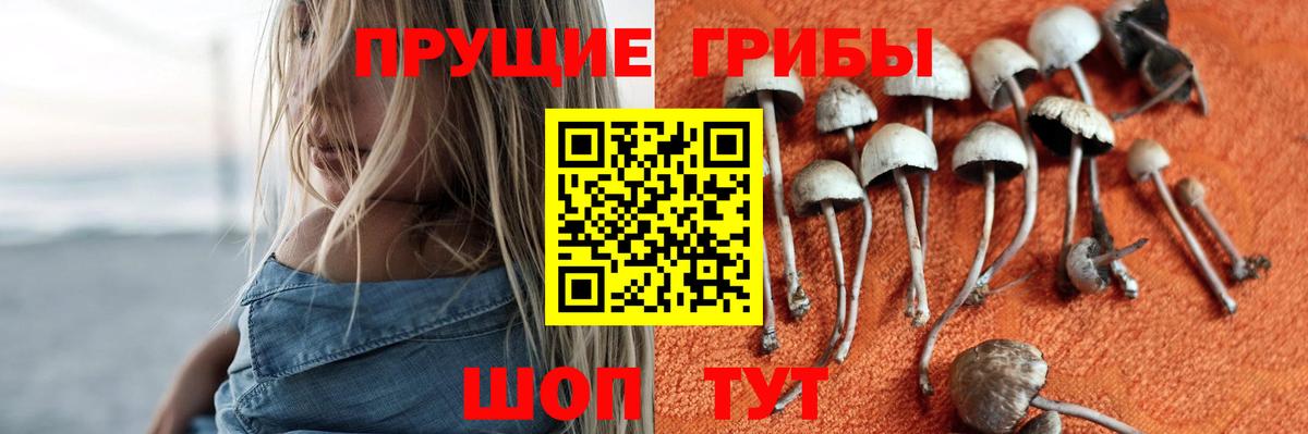 Псилоцибиновые грибы прущие грибы Татарск